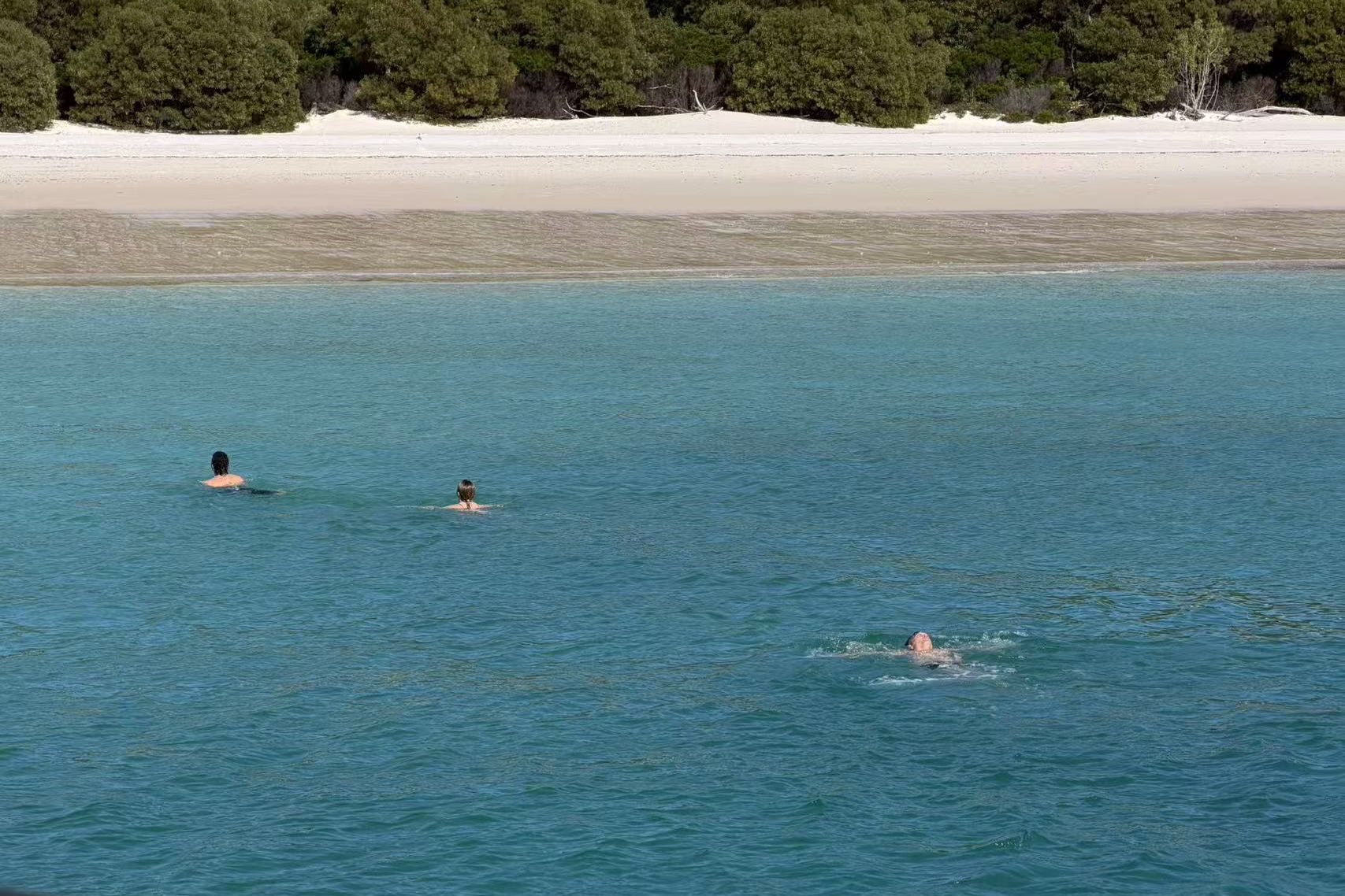 Swimmers in clear water off the beach